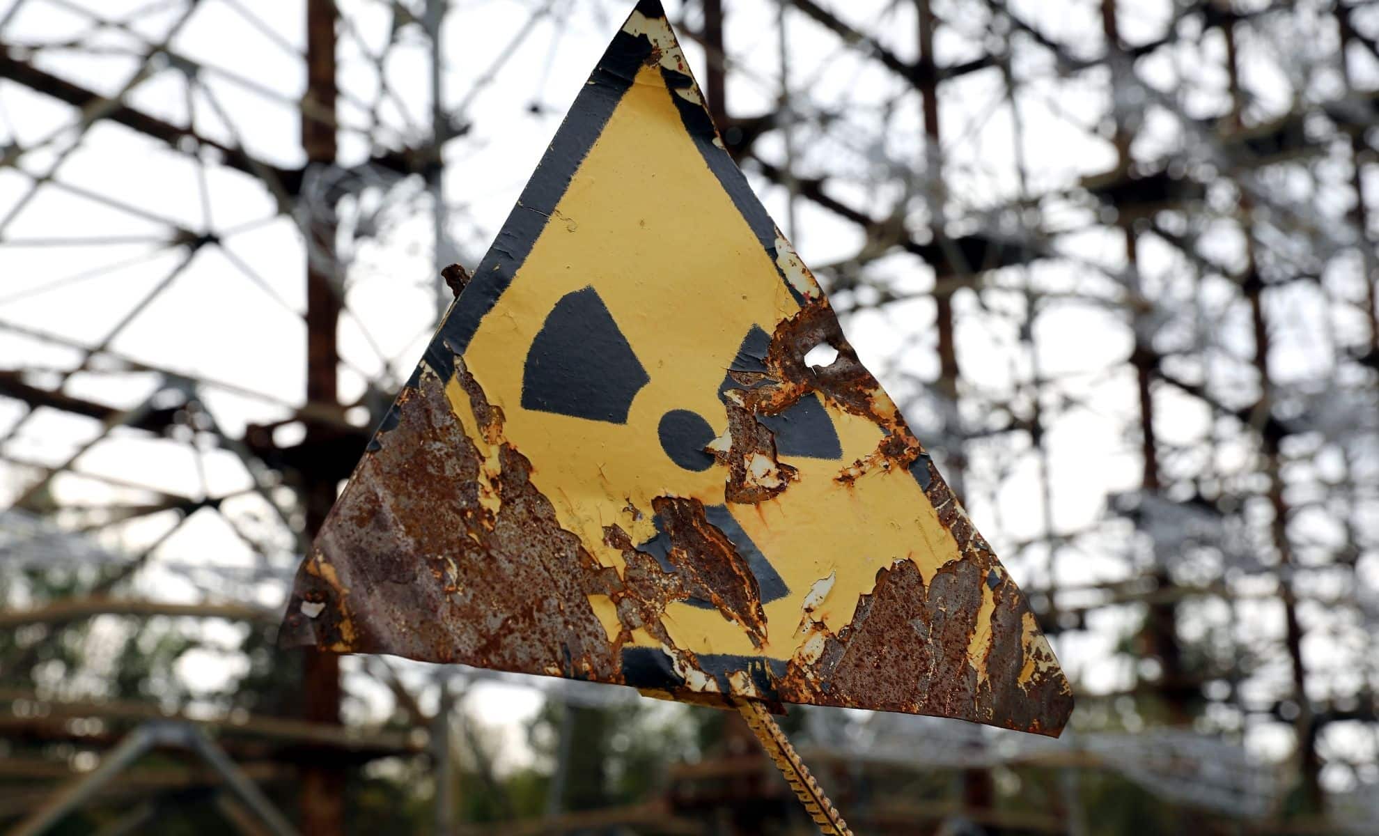 This Fungus Grew Inside Chernobyl’s Nuclear Reactor, Feeding on Radiation, Now NASA Wants to Use It for Space Travel