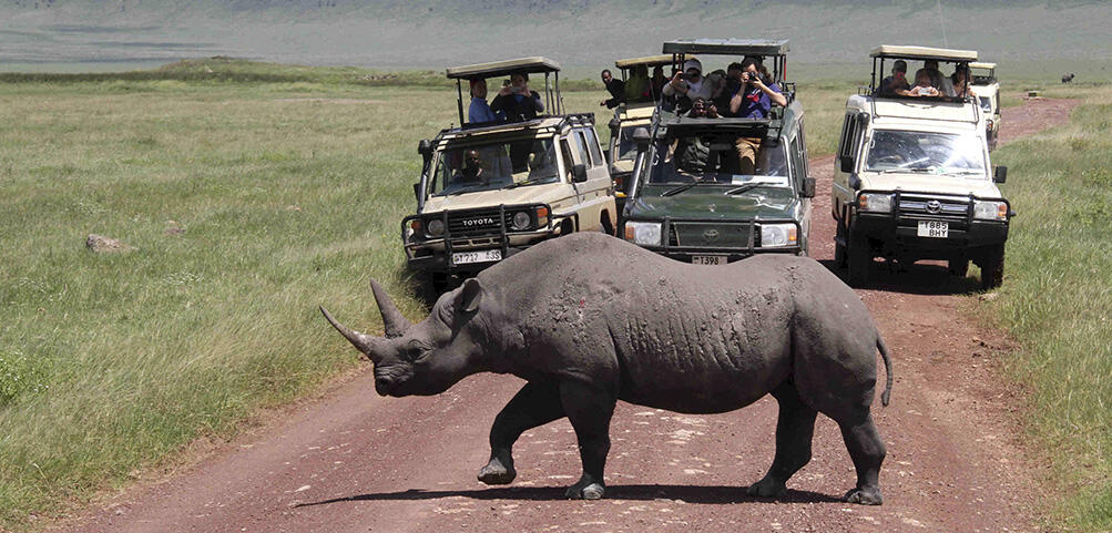 Colonialism in green camouflage | CNRS News