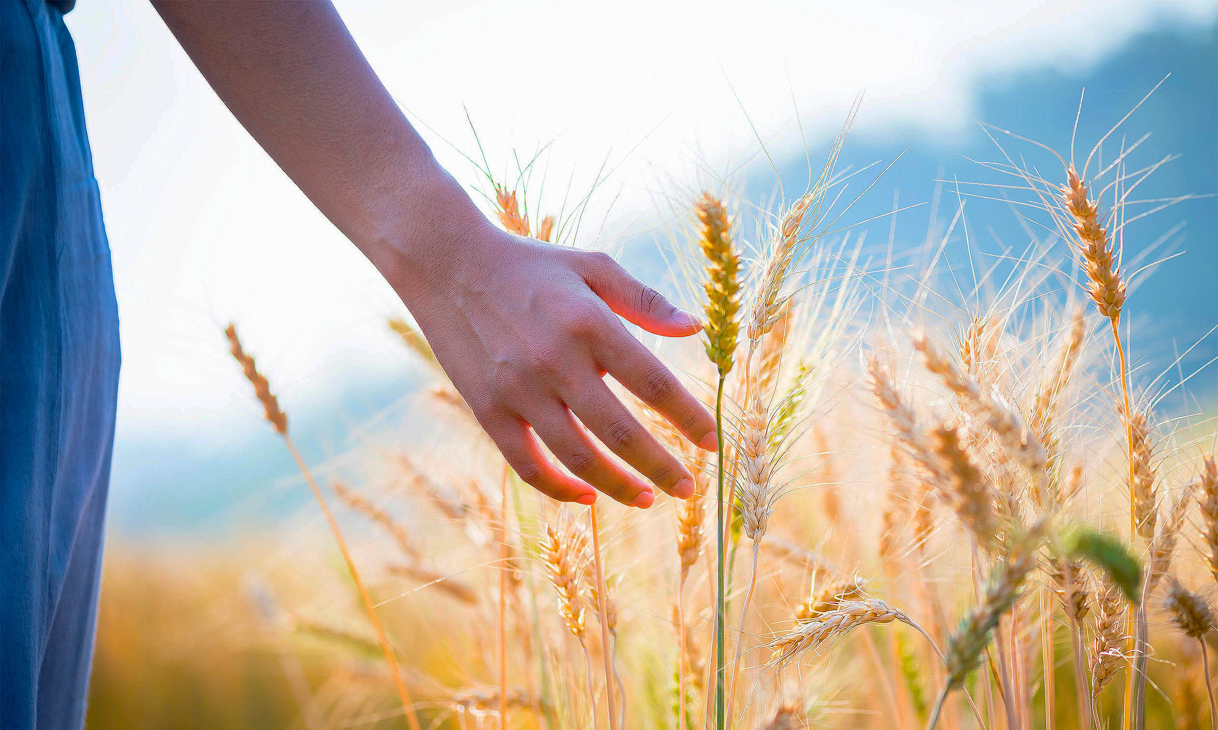 Study shows humans can detect buried objects without touching