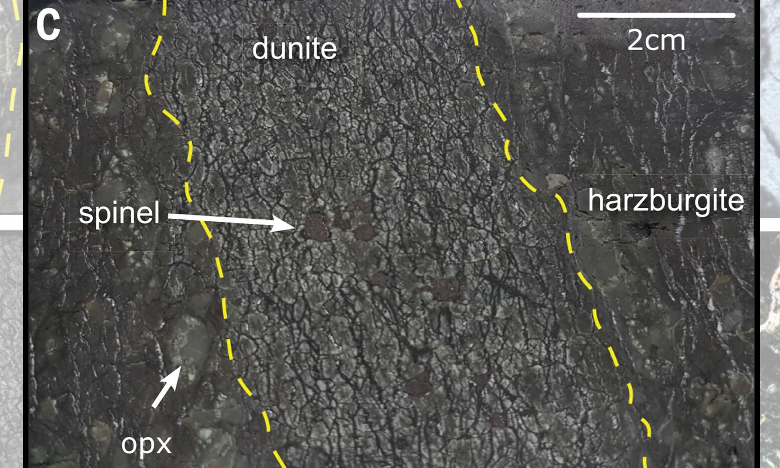 Hydrogen-rich mantle rocks may hold clues to early life
