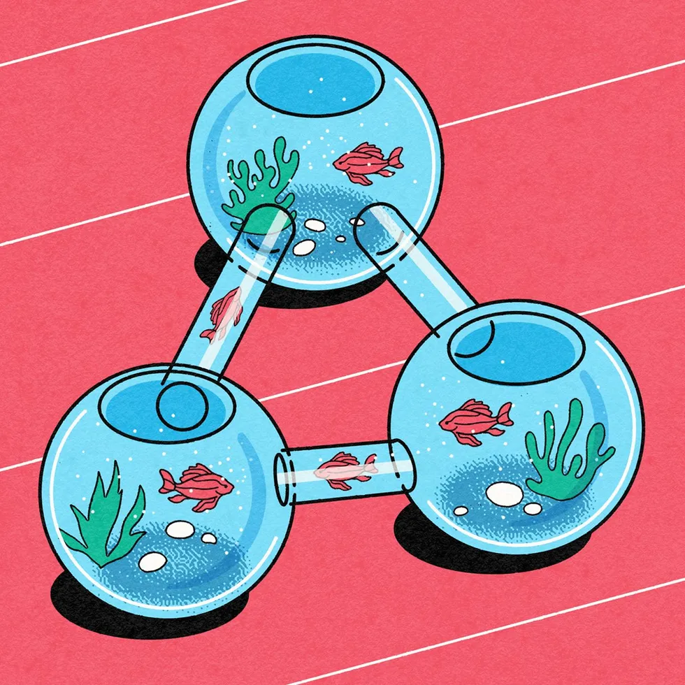 Wi-Fi 7 and Thread: A Mesh Network Harmony