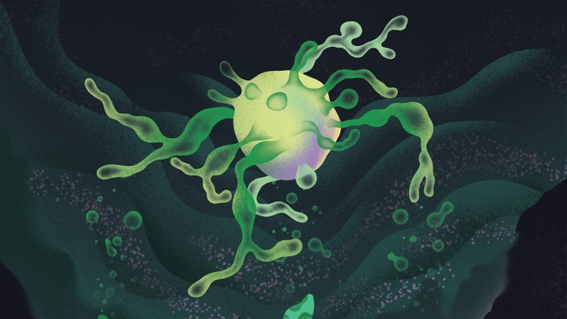 How these strange cells may explain the origin of complex life