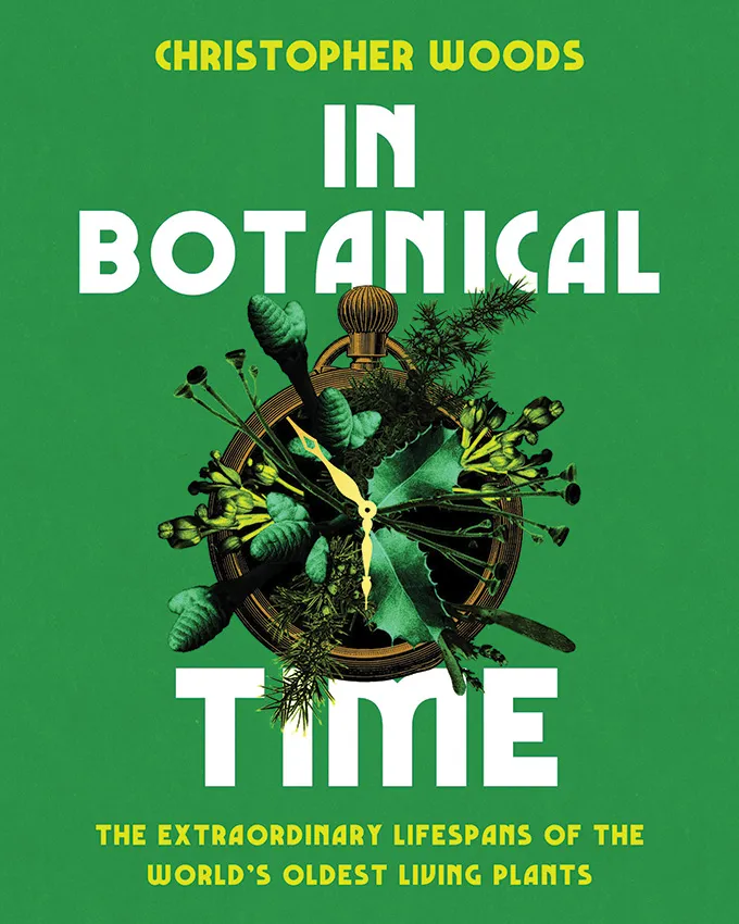 ‘In Botanical Time’ explores the ways Earth’s oldest plants cheat death