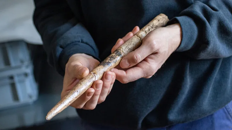 Humans used whale bones to make tools 20,000 years ago
