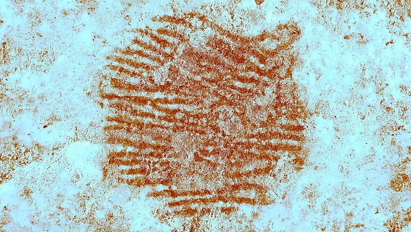 A 43,000-year-old Neandertal fingerprint has been found in Spain