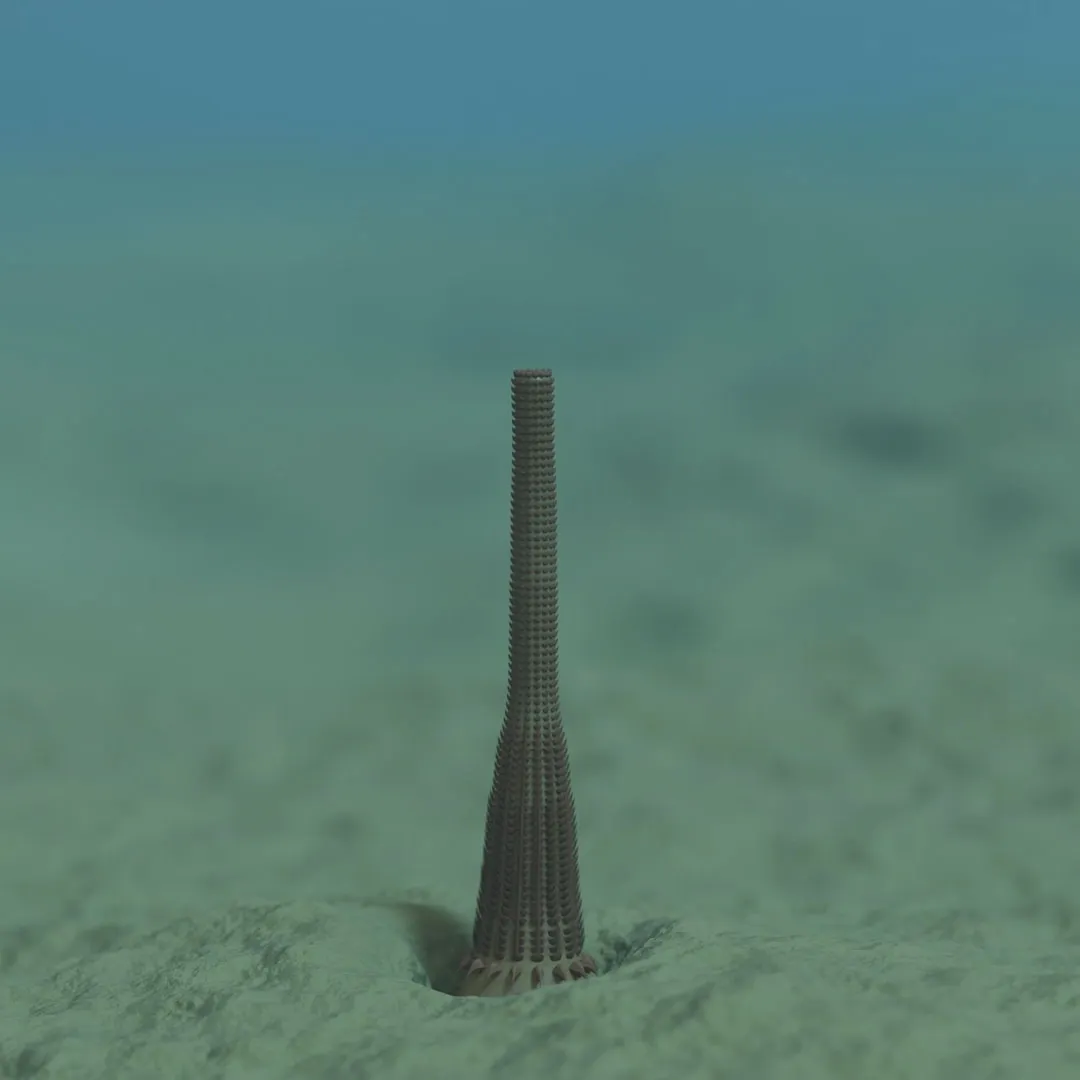 A new species of ‘penis worm’ was discovered in the Grand Canyon