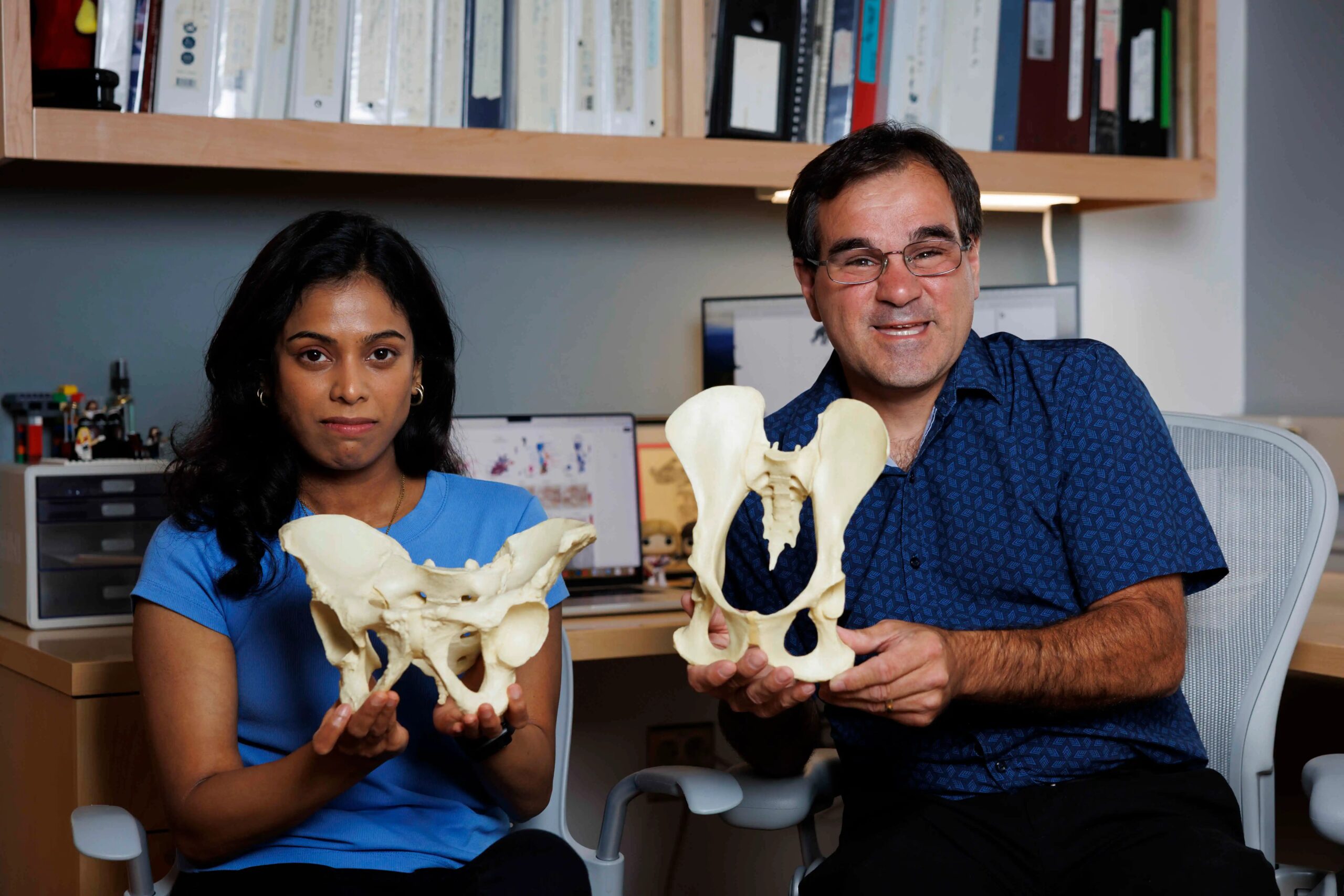 Solving evolutionary mystery of how humans came to walk upright — Harvard Gazette