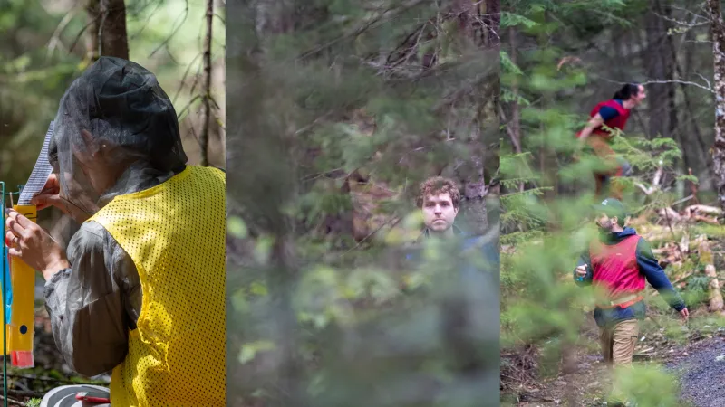 In a Quebec park, a science game brings predator-prey dynamics to life