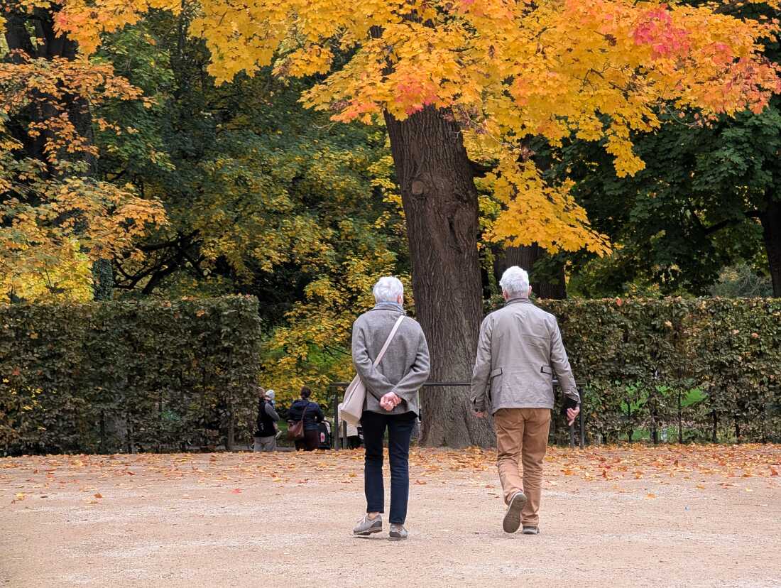 To slow down aging, a study tests exercise and anti-inflammatories : NPR