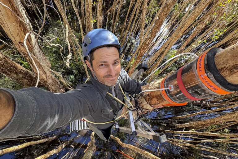 Hidden heroes: Australian tree bark microbes consume greenhouse & toxic gases