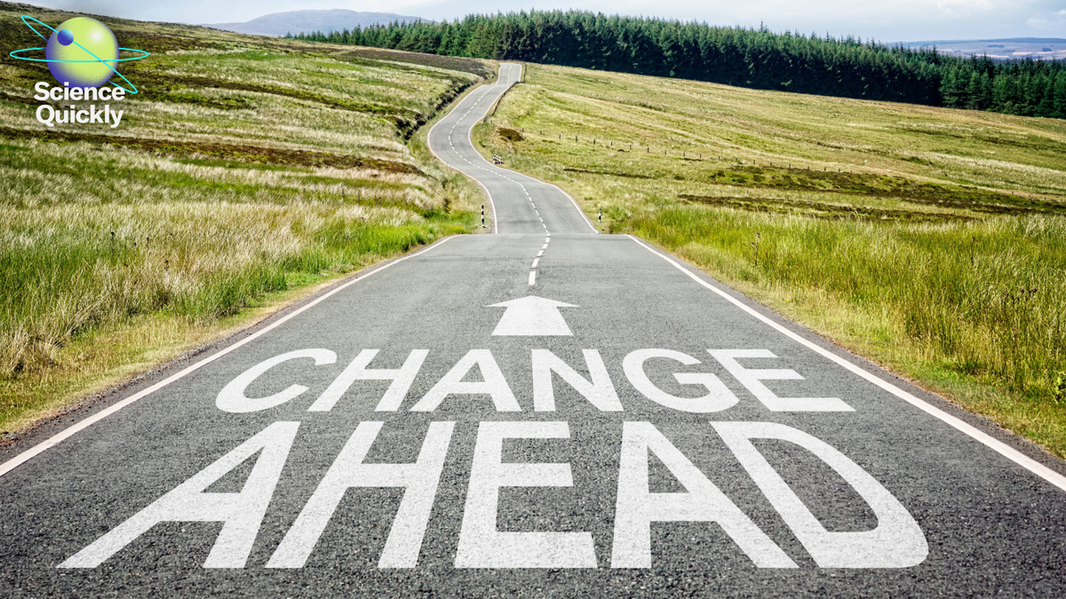 How to Keep Your New Year’s Resolutions—Behavioral Science Tips That Work