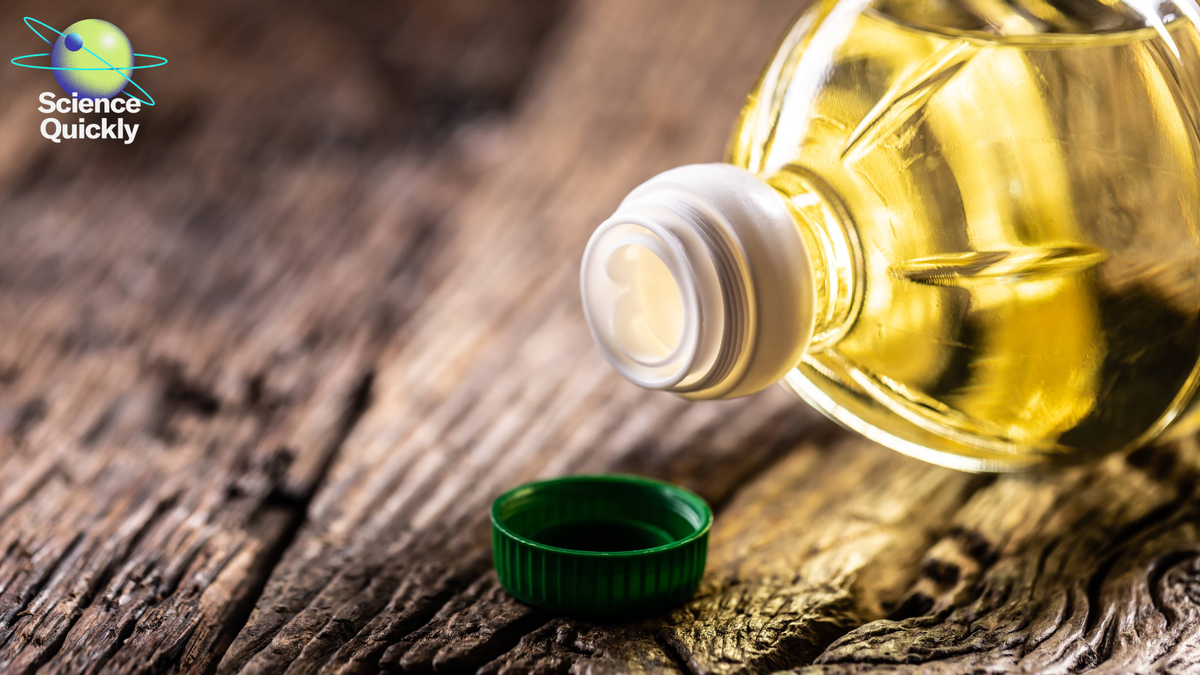 Are Seed Oils Bad for You? Debunking a Viral Social Media Myth