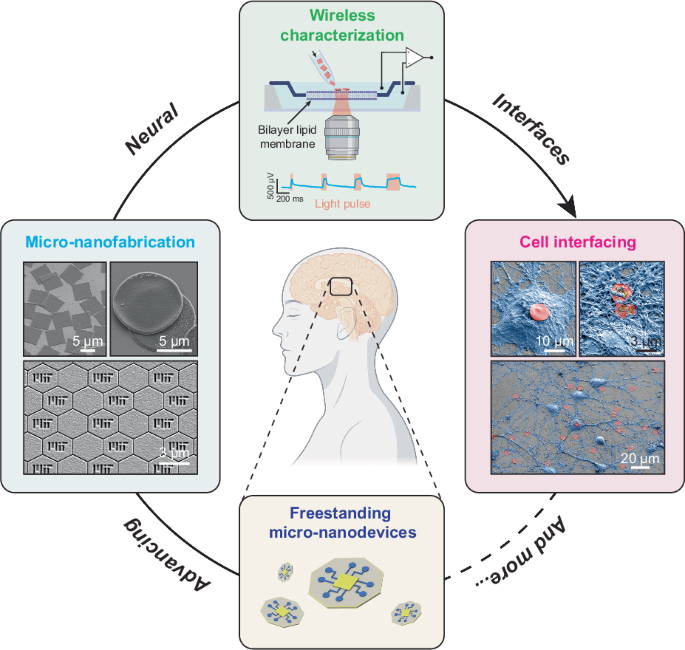 Advancing neural interfaces: a framework for the fabrication and characterization of freestanding micro-nanodevices