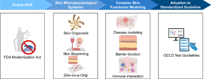 Innovations in skin microphysiological systems for nonclinical testing and FDA modernization