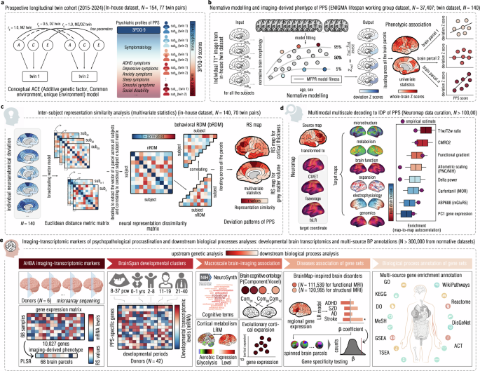 Shared neurogenetic architecture links adolescent neurodevelopmental deviations to adult psychopathological procrastination