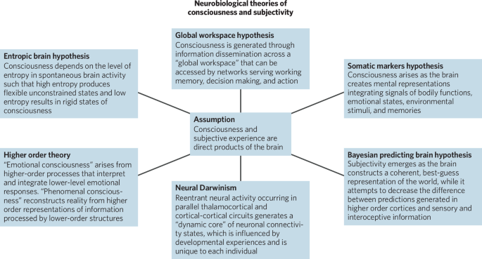 Consciousness, subjectivity, and aging in western thought