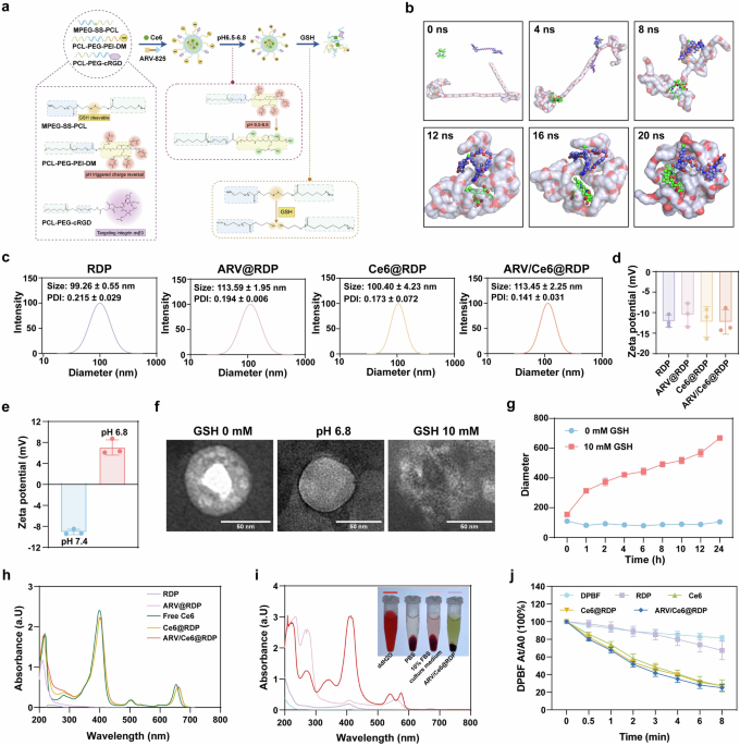 Employing epigenetic protein degradation techniques to block CCL5-mediated photodynamic therapy via a programmed delivery platform