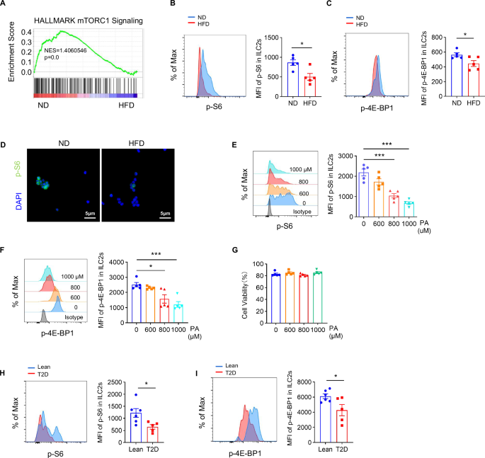 Obesity disrupts ILC2 metabolic and functional homeostasis by inhibiting mTORC1 signaling