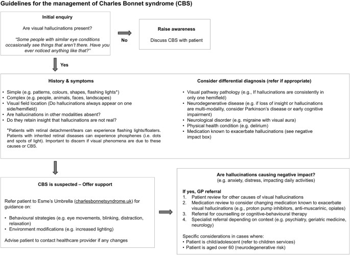 Management of Charles Bonnet syndrome in routine eye care services
