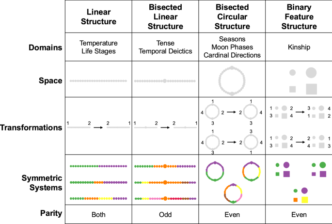Symmetry in category systems across languages