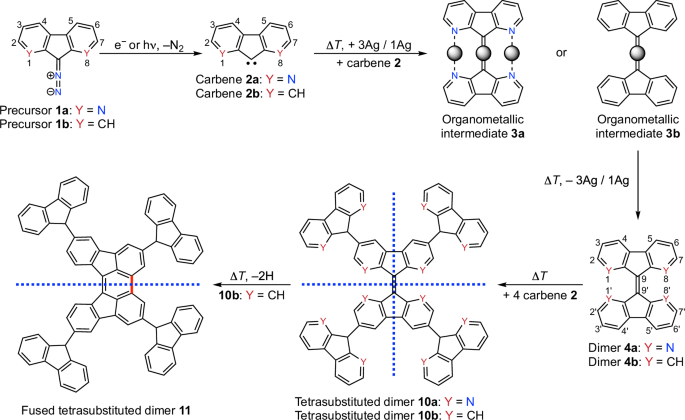 On-surface synthesis platform for highly branched oligomers based on sequential C—C coupling and C—H activation of carbenes