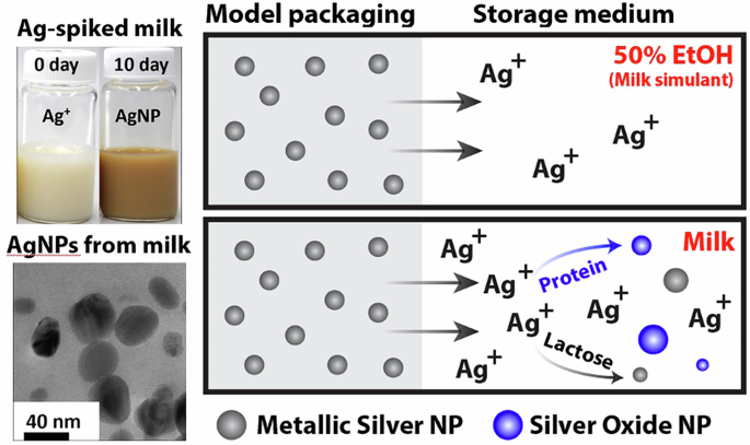 Milk proteins and fat influence Ag migration from model dairy packaging containing silver nanoparticles