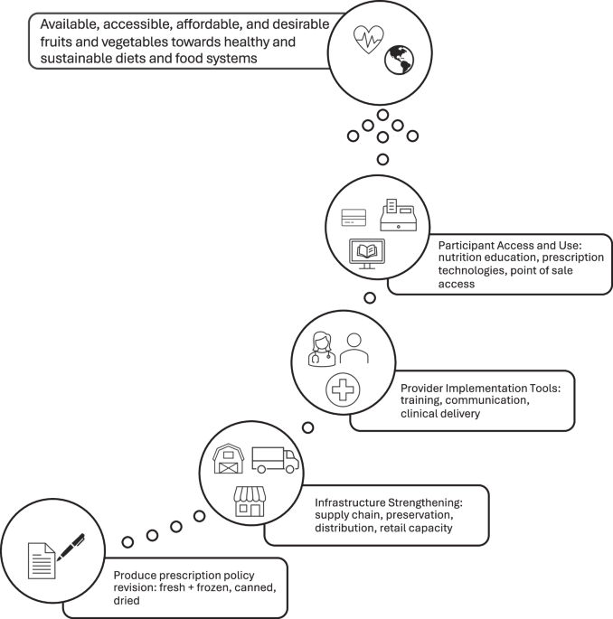 Beyond fresh: implications of produce prescription policy for food systems transformation