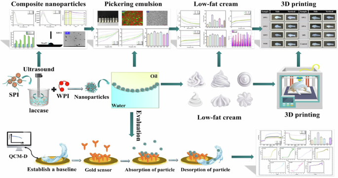 Fabrication of stabilized pickering emulsions via crosslinking modified soy protein: focused on fat substitution strategies