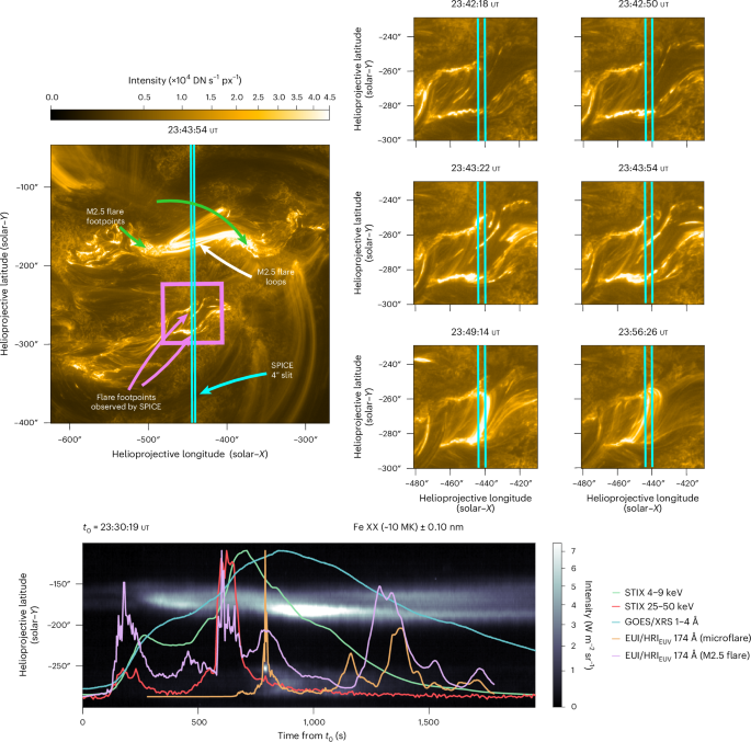 Spatial variation of energy transport mechanisms within solar flare ribbons