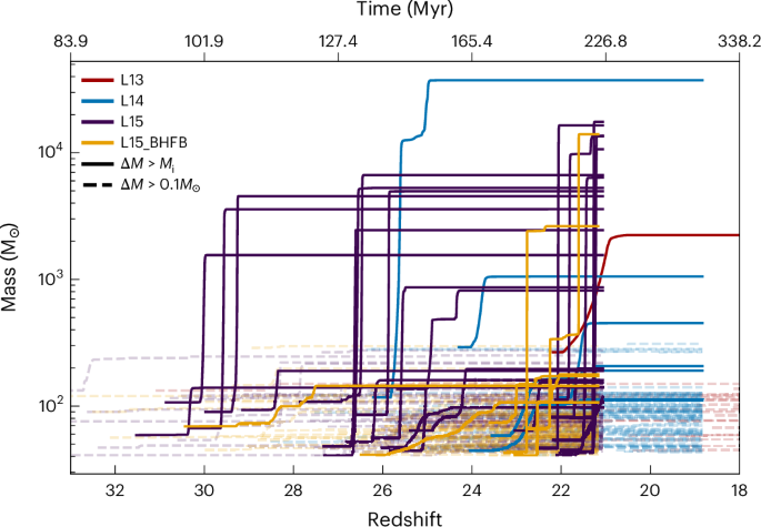 The growth of light seed black holes in the early Universe