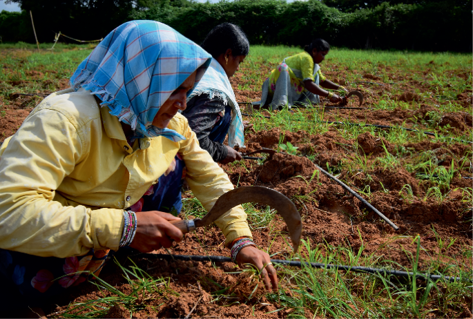 AI-driven weather forecasts for climate adaptation in India
