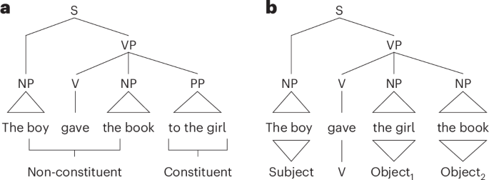 Evidence for the representation of non-hierarchical structures in language