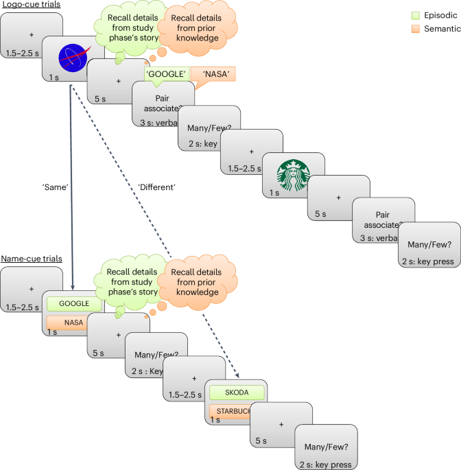 Neural activations and representations during episodic versus semantic memory retrieval