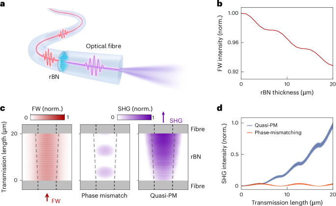 Nonlinear phase-matched van der Waals crystals integrated on optical fibres