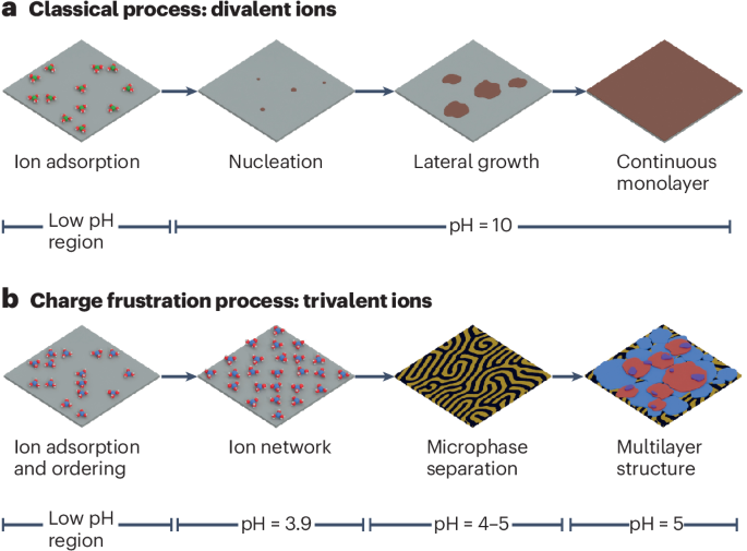 The paradoxes of interfacial electrolyte structures