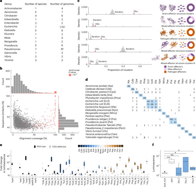 Effector–host interactome map links type III secretion systems in healthy gut microbiomes to immune modulation