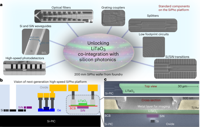 A high-speed heterogeneous lithium tantalate silicon photonics platform