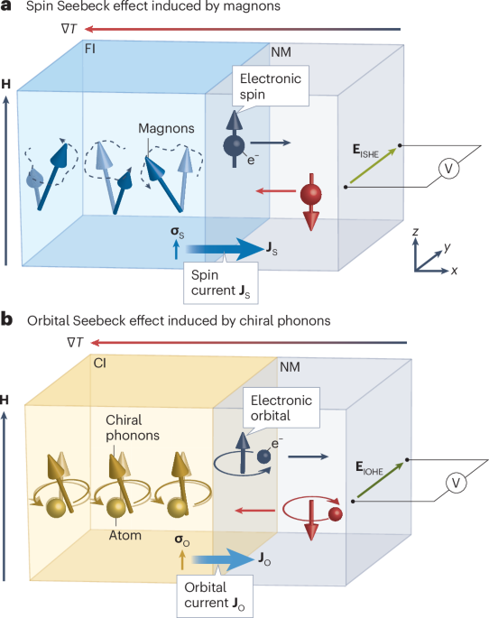 Orbital current from phonons
