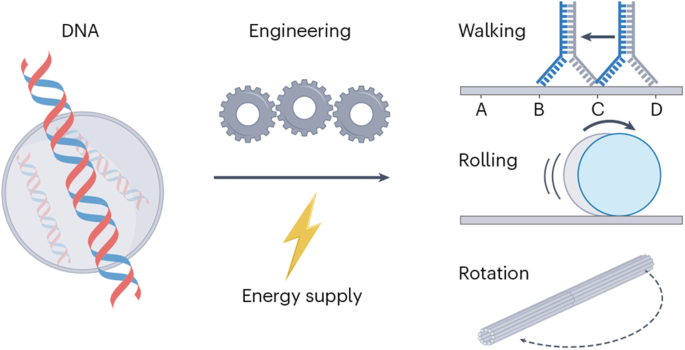 Programming DNA machines to move