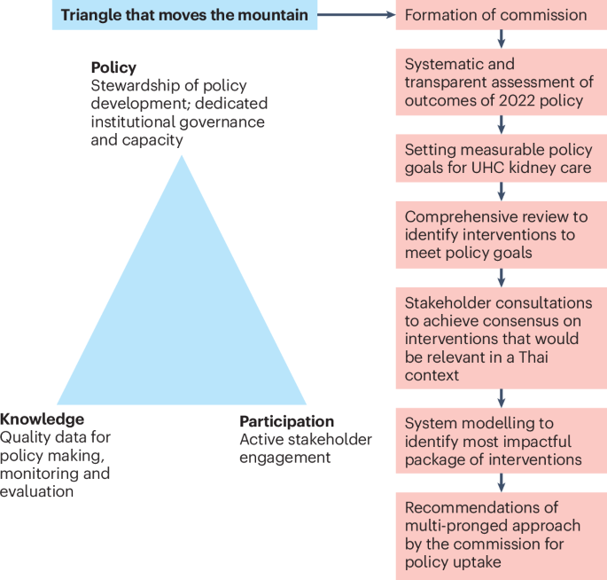 Strengthening kidney care through evidence-informed participatory policymaking