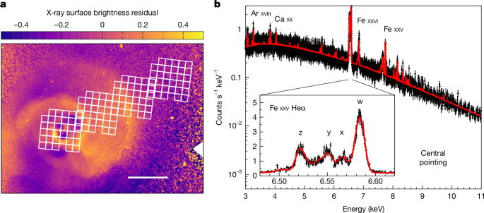 Disentangling multiple gas kinematic drivers in the Perseus galaxy cluster