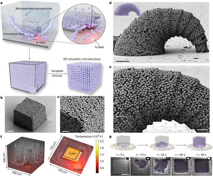 Optofluidic three-dimensional microfabrication and nanofabrication
