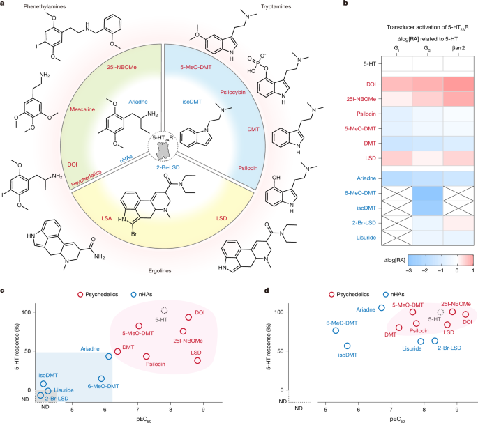 Psychedelics elicit their effects by 5-HT2A receptor-mediated Gi signalling