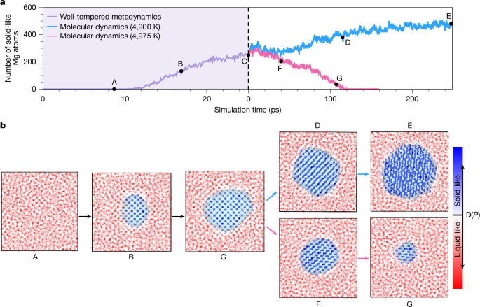 The potential for bridgmanite megacrysts to drive magma ocean segregation