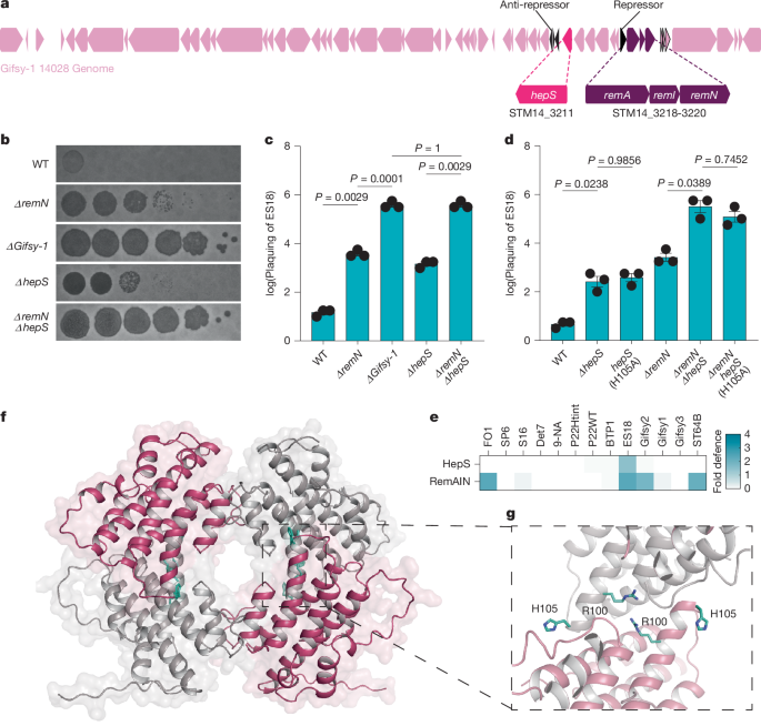A prophage-encoded abortive infection protein preserves host and prophage spread