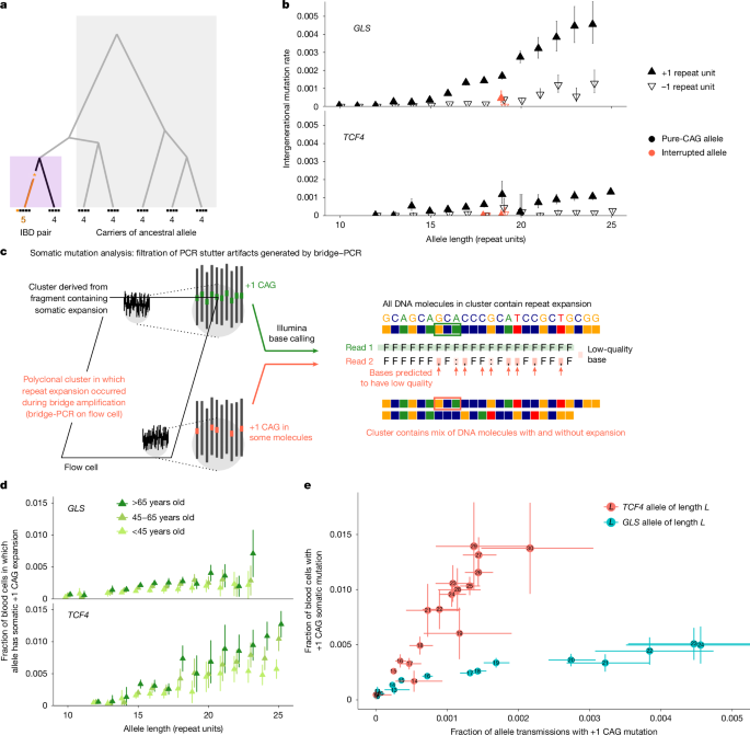 Insights into DNA repeat expansions among 900,000 biobank participants
