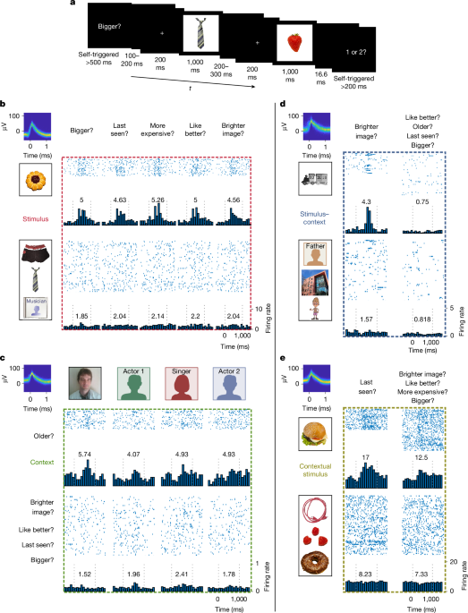 Distinct neuronal populations in the human brain combine content and context