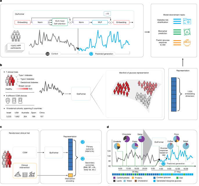 A foundation model for continuous glucose monitoring data