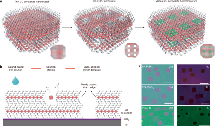 Mosaic lateral heterostructures in two-dimensional perovskite