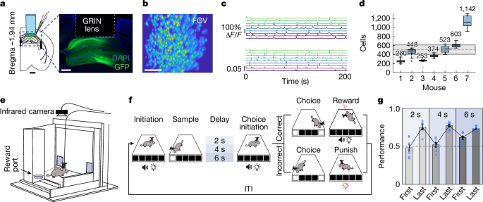 Predictive coding of reward in the hippocampus